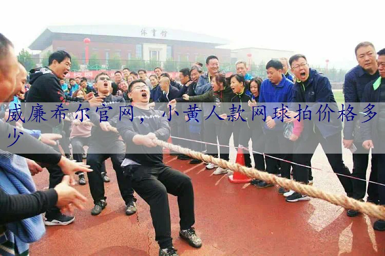 威廉希尔官网，小黄人款网球拍价格多少