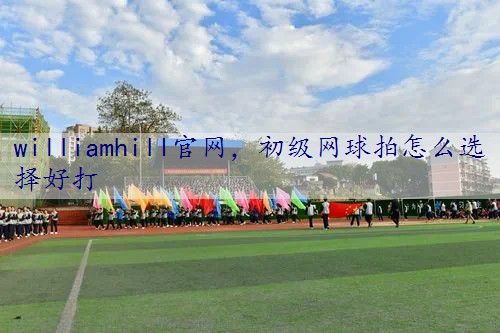 初级网球拍怎么选择好打
