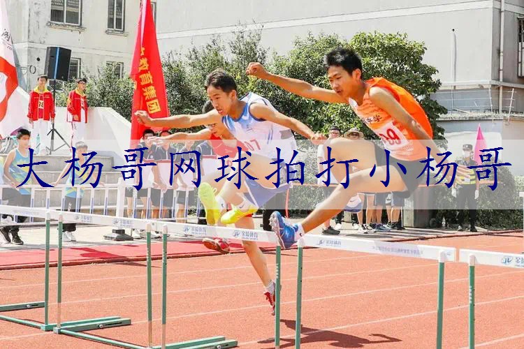 大杨哥网球拍打小杨哥