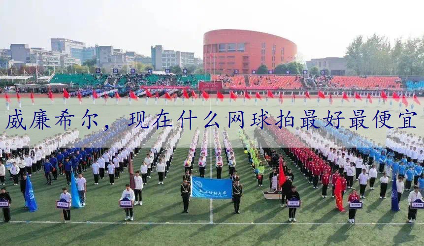 现在什么网球拍最好最便宜