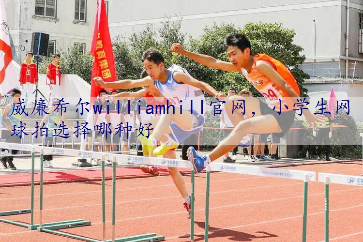 小学生网球拍选择哪种好
