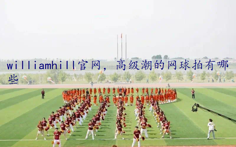高级潮的网球拍有哪些