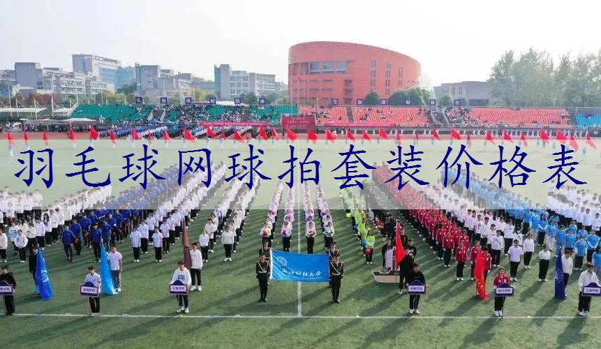 羽毛球网球拍套装价格表