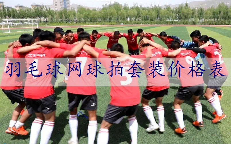 羽毛球网球拍套装价格表