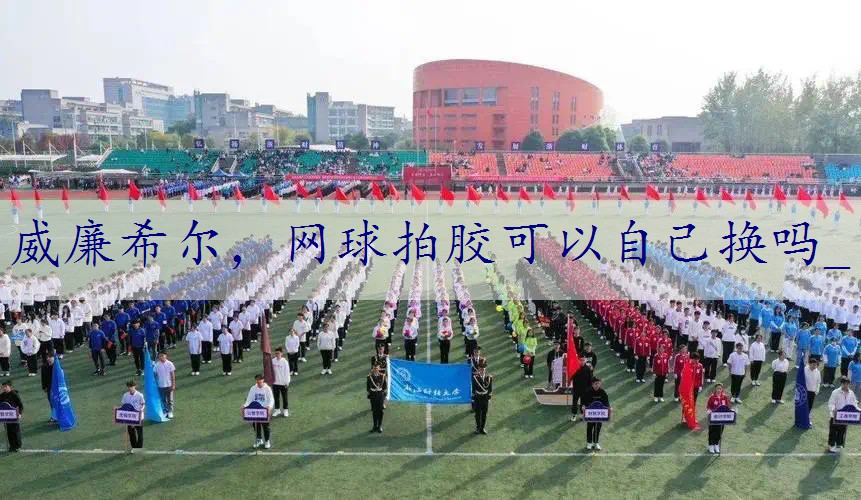 网球拍胶可以自己换吗_