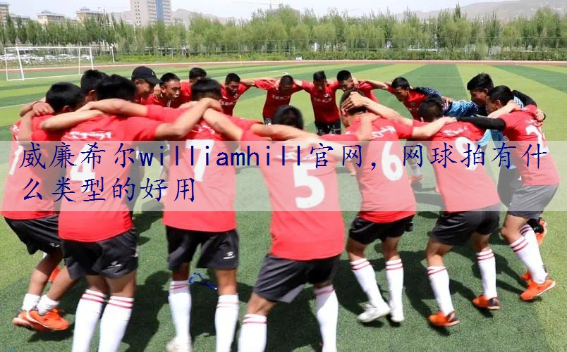 网球拍有什么类型的好用