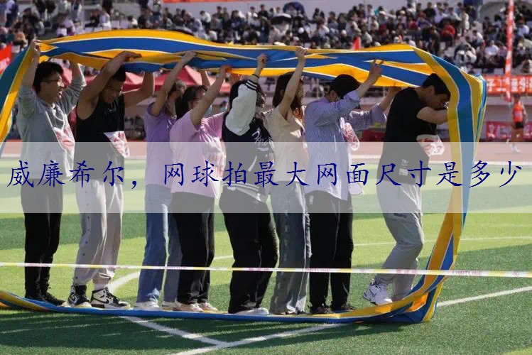 网球拍最大网面尺寸是多少