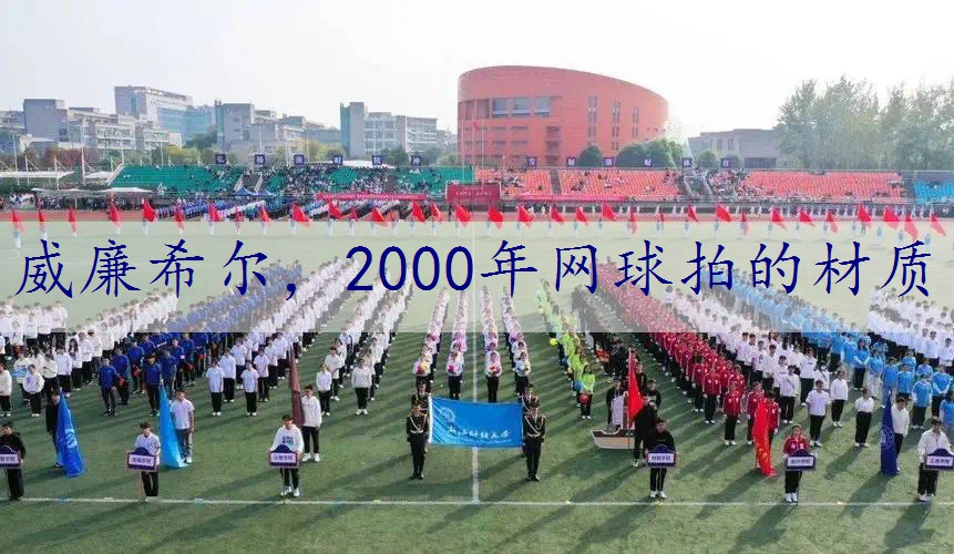 2000年网球拍的材质