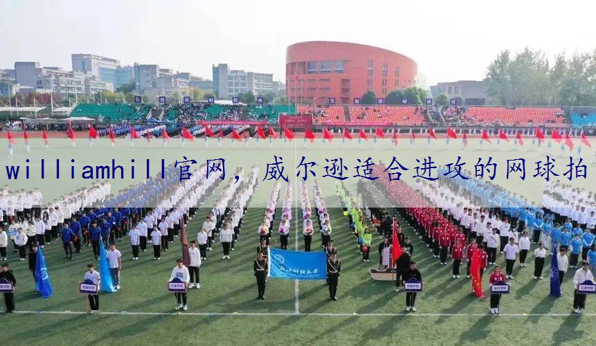 威尔逊适合进攻的网球拍