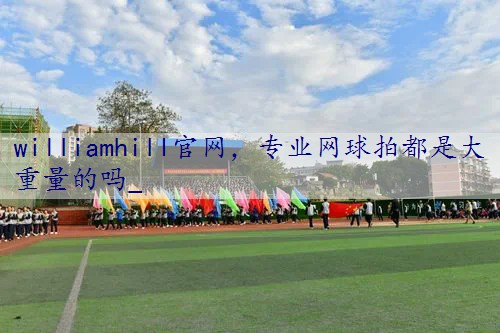 专业网球拍都是大重量的吗_