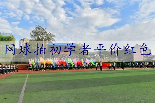 网球拍初学者平价红色