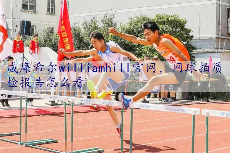 网球拍质检报告怎么看