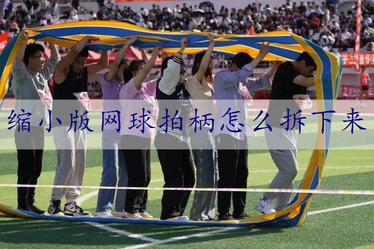 缩小版网球拍柄怎么拆下来