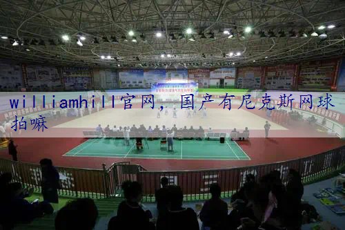 国产有尼克斯网球拍嘛