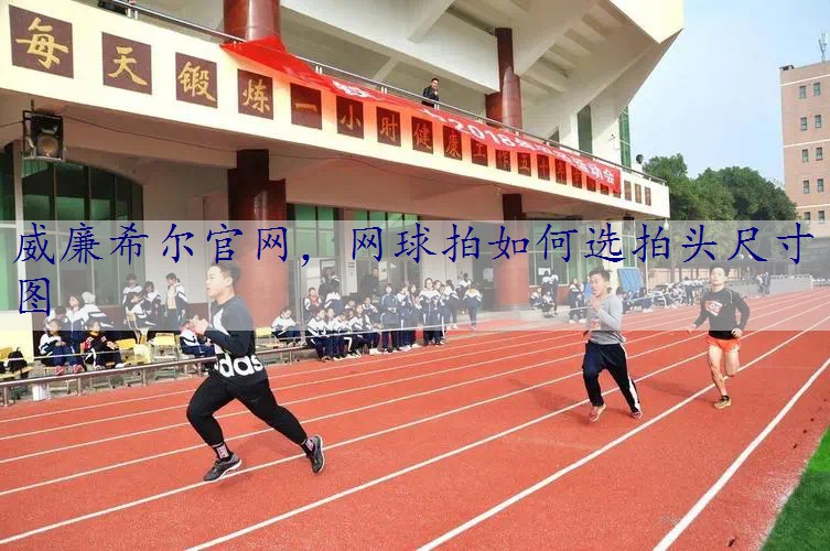 网球拍如何选拍头尺寸图