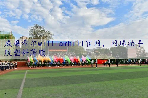 网球拍手胶塑料薄膜