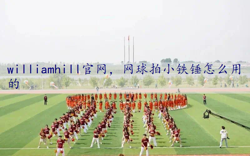 网球拍小铁锤怎么用的