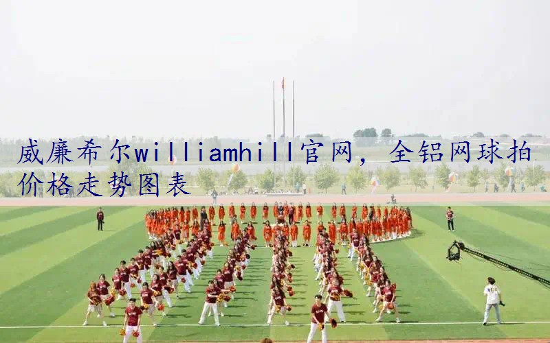 全铝网球拍价格走势图表