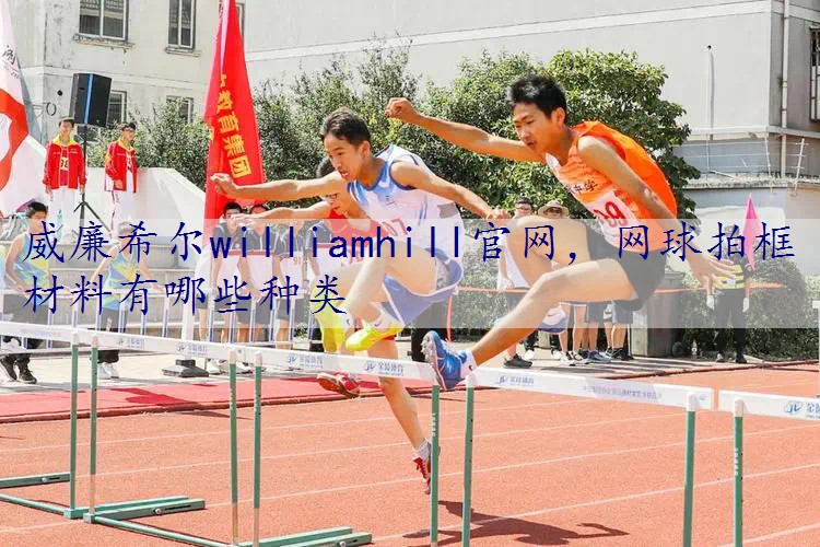 网球拍框材料有哪些种类