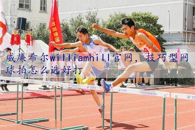 技巧型网球拍怎么选好打