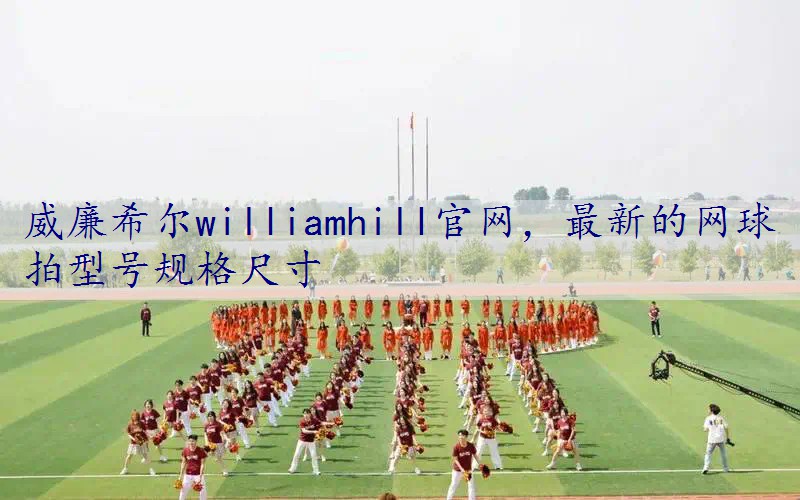 最新的网球拍型号规格尺寸
