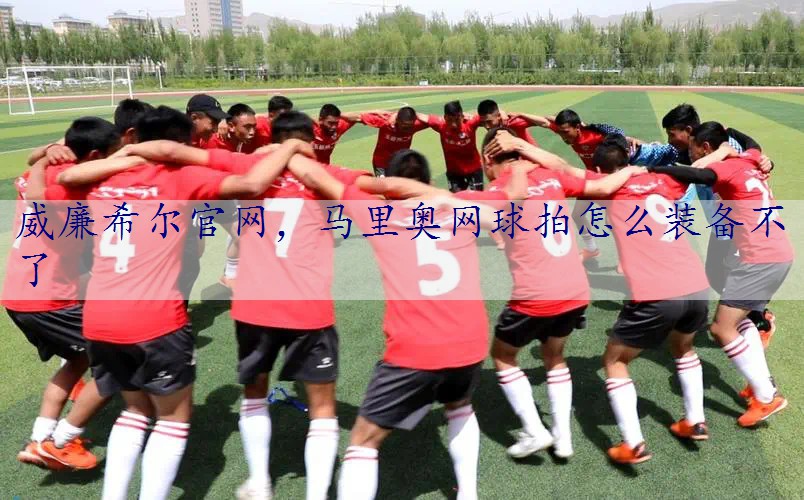 马里奥网球拍怎么装备不了