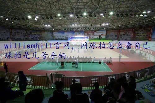 网球拍怎么看自己球拍是几号手柄