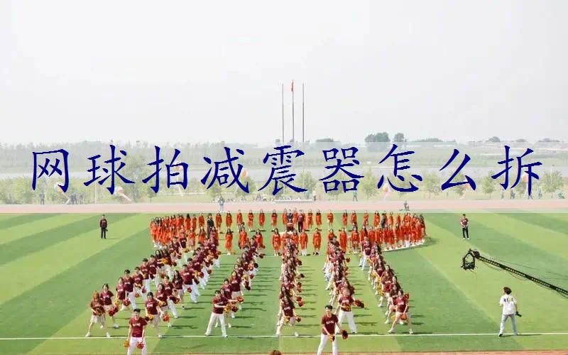 网球拍减震器怎么拆