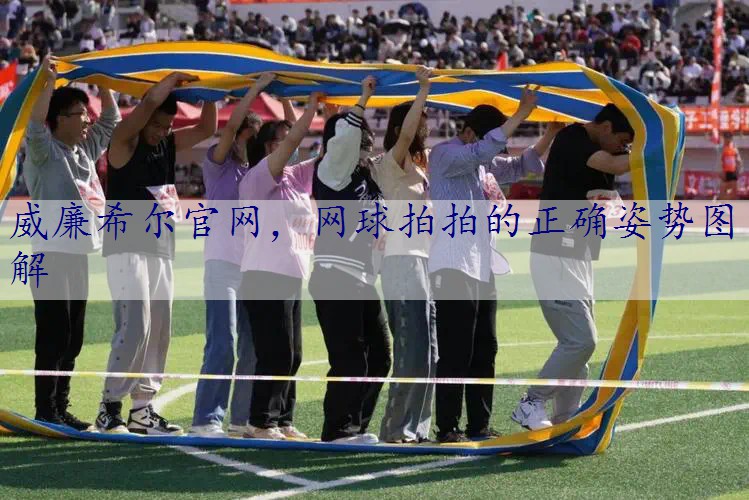 网球拍拍的正确姿势图解
