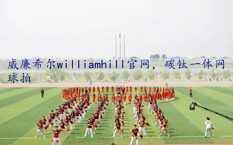 碳钛一体网球拍