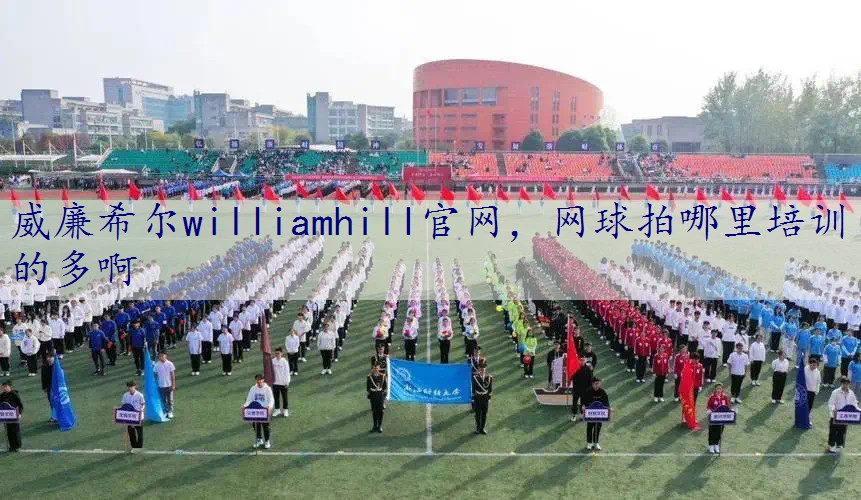 网球拍哪里培训的多啊