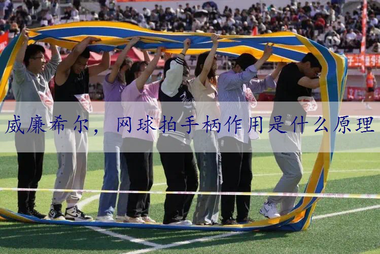 网球拍手柄作用是什么原理