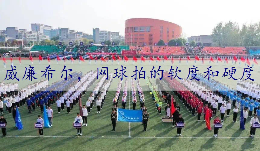 网球拍的软度和硬度