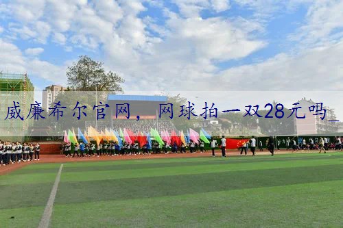 网球拍一双28元吗_