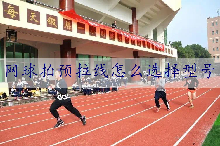 网球拍预拉线怎么选择型号
