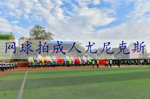 网球拍成人尤尼克斯