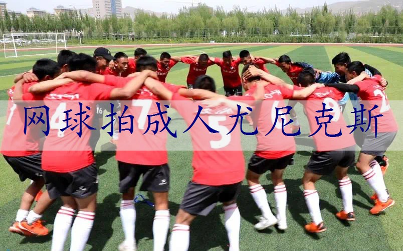 网球拍成人尤尼克斯