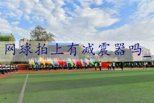 网球拍上有减震器吗_