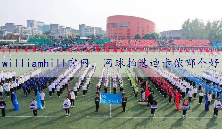 网球拍选迪卡侬哪个好