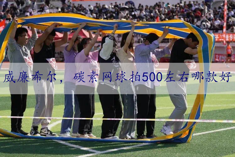 碳素网球拍500左右哪款好