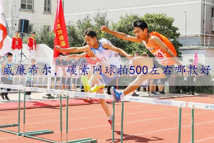 碳素网球拍500左右哪款好
