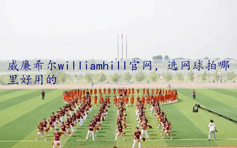 选网球拍哪里好用的