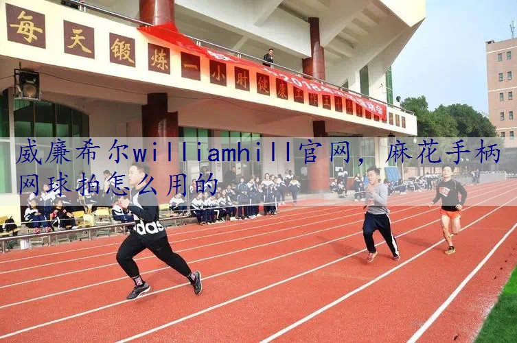 麻花手柄网球拍怎么用的