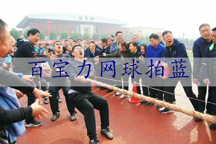 百宝力网球拍蓝