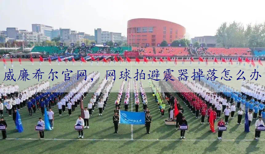 网球拍避震器掉落怎么办