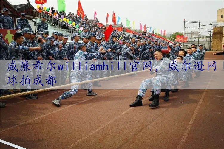 威尔逊网球拍成都