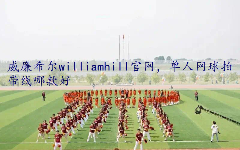 单人网球拍带线哪款好