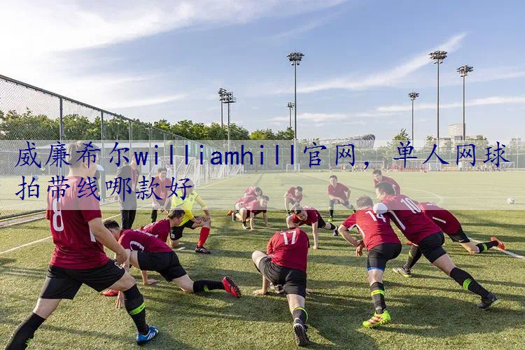 单人网球拍带线哪款好