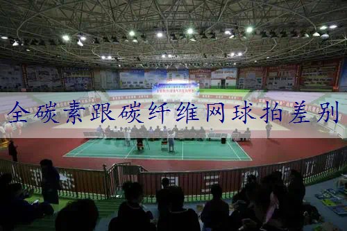 全碳素跟碳纤维网球拍差别