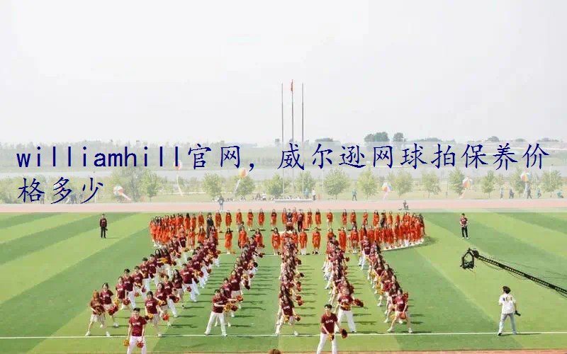 威尔逊网球拍保养价格多少